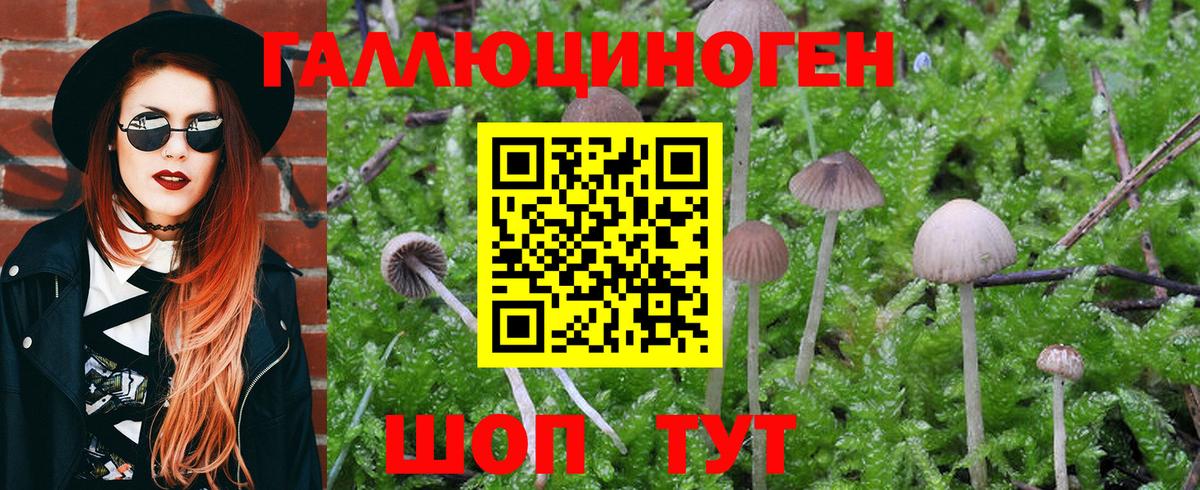 Псилоцибиновые грибы Magic Shrooms Орехово-Зуево