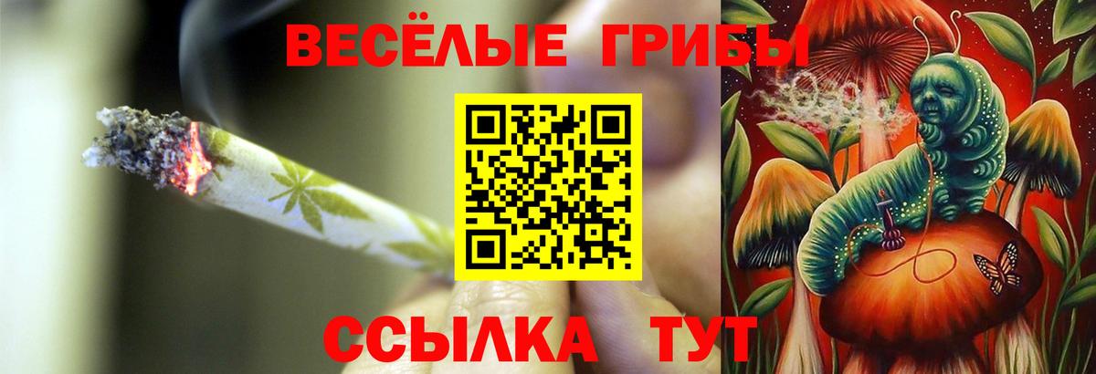 Орехово-Зуево  магазин продажи наркотиков  Вход с VPN  Галлюциногенные грибы прущие грибы 
